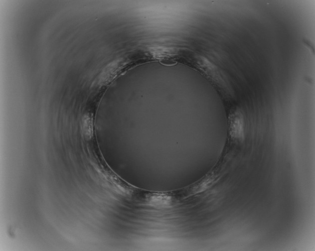 X0000102460471200808081231