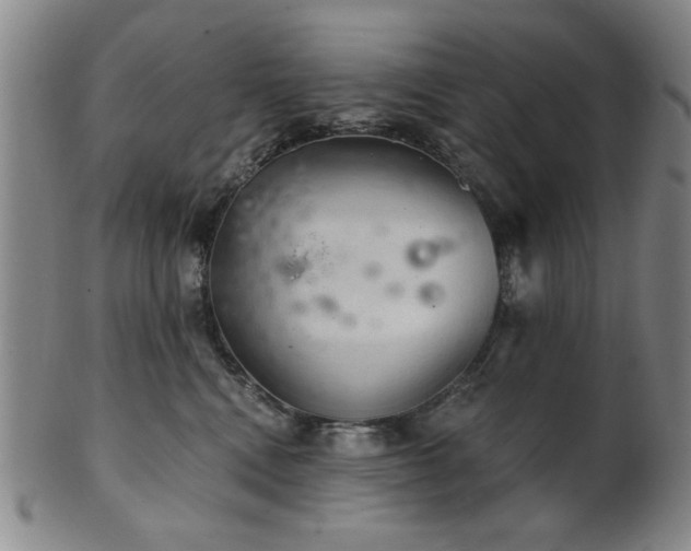 X0000102460472200808081231