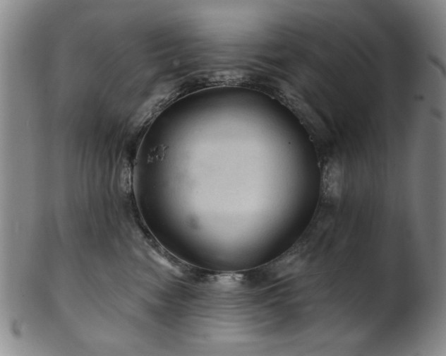 X0000102460474200808081231