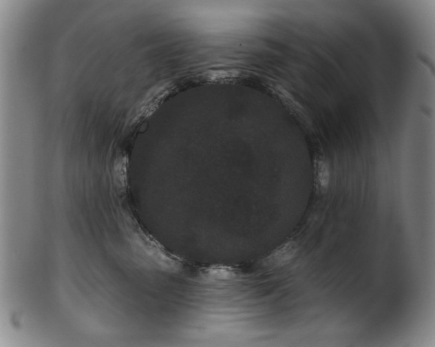 X0000102460475200808081231