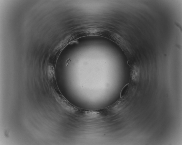 X0000102460476200808081231