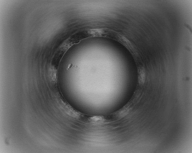 X0000102460477200808081231