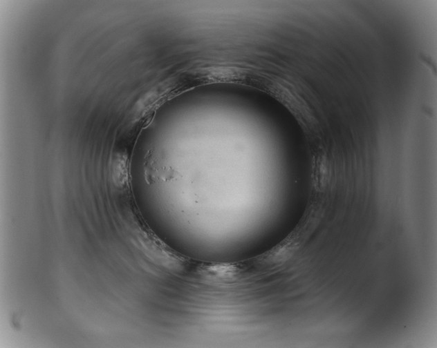 X0000102460478200808081231