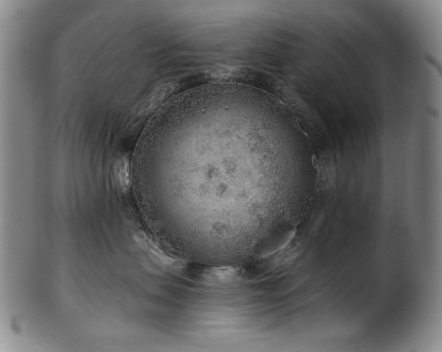 X0000102460479200808081231