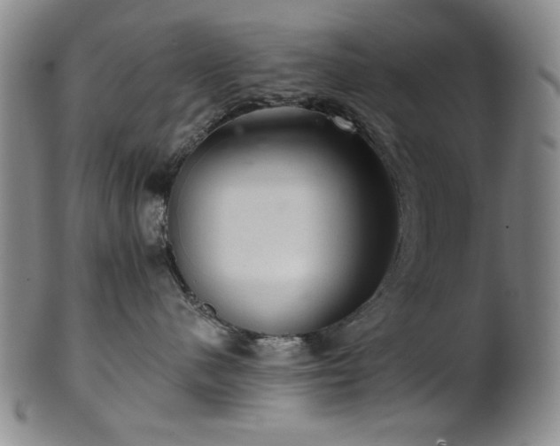 X0000102460480200808081231