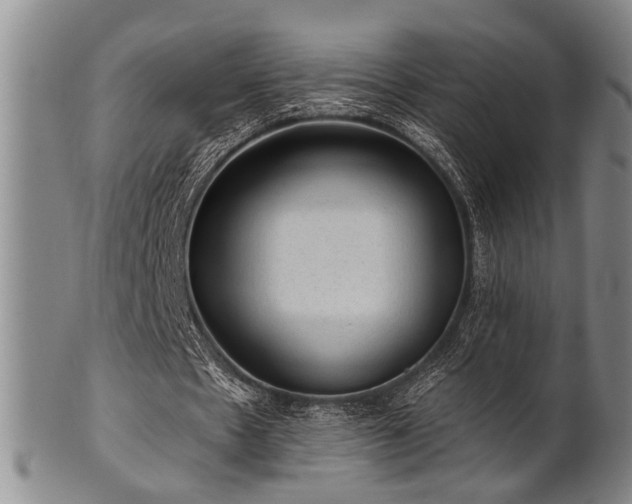 X0000102460481200808081231