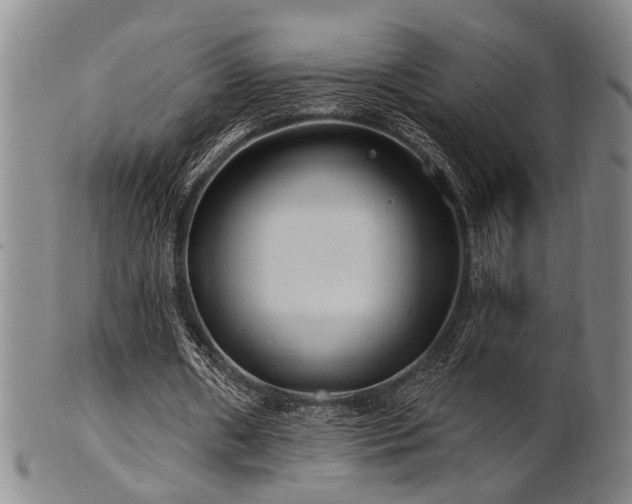 X0000102460482200808081231