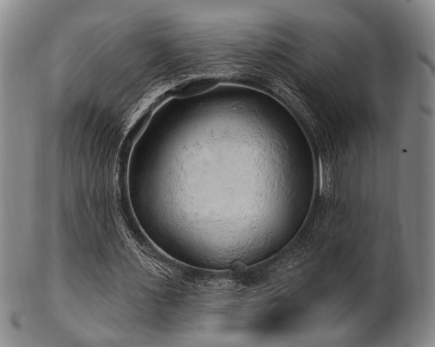 X0000102460483200808081231