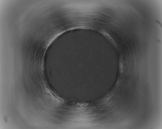 X0000102460484200808081231