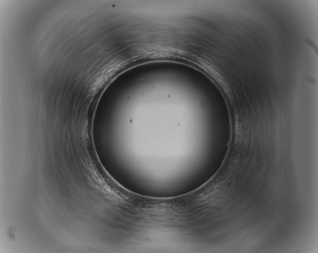 X0000102460485200808081231