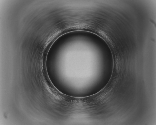 X0000102460486200808081231