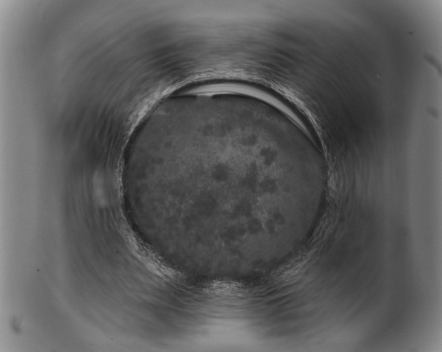 X0000102460487200808081230