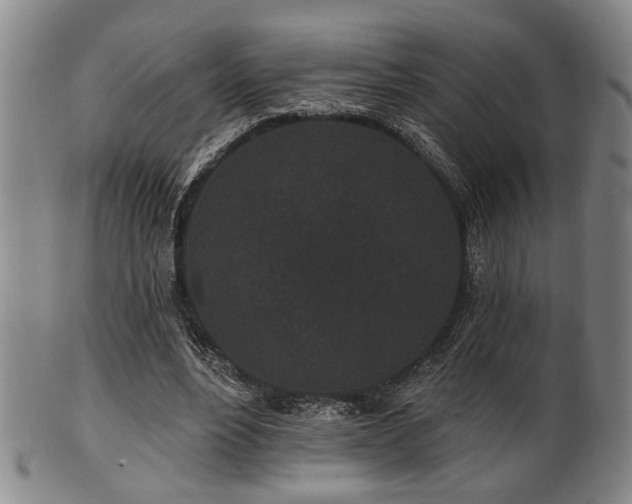 X0000102460488200808081230