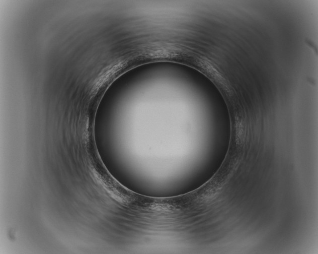 X0000102460490200808081230