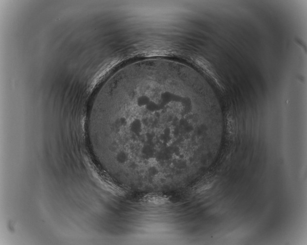 X0000102460491200808081230