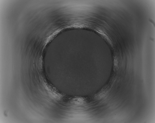 X0000102460492200808081230