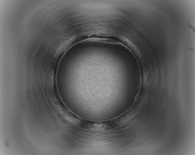 X0000102460493200808081230