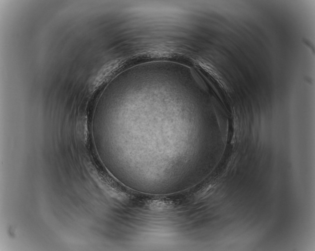 X0000102460494200808081230