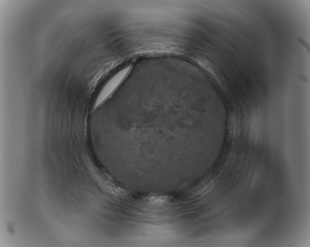 X0000102460495200808081230