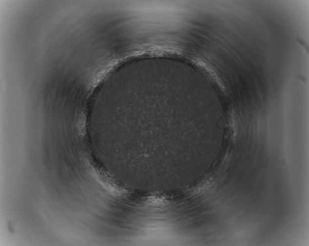 X0000102460496200808081230