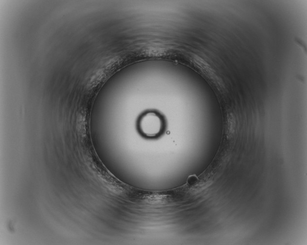 X0000102460497200808081230