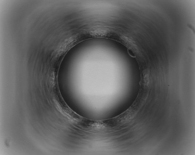 X0000102460498200808081230