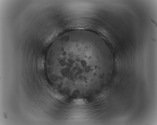 X0000102460499200808081230