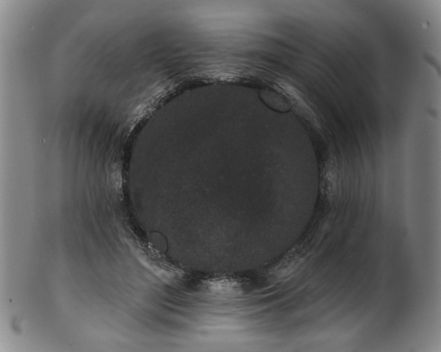 X0000102460500200808081230