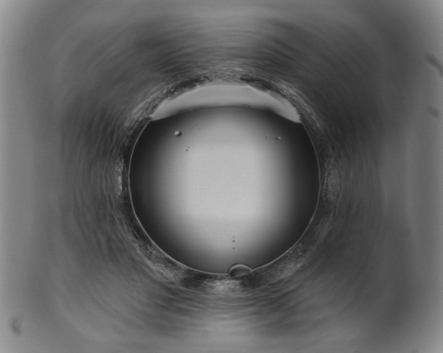 X0000102460501200808081230