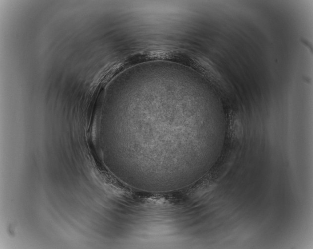 X0000102460502200808081230