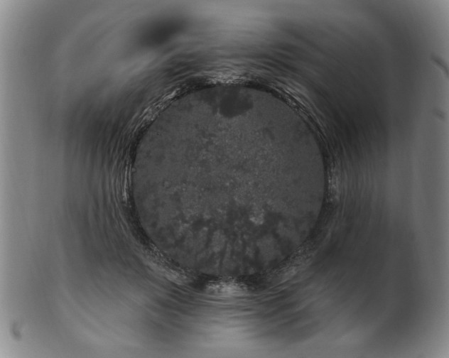 X0000102460503200808081230