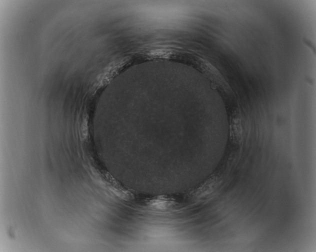 X0000102460504200808081230