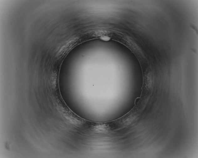 X0000102460505200808081230