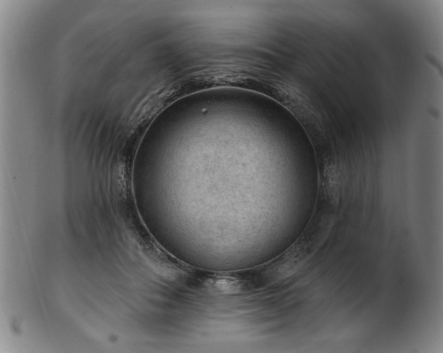 X0000102460506200808081230