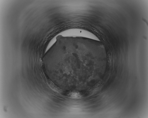 X0000102460507200808081230