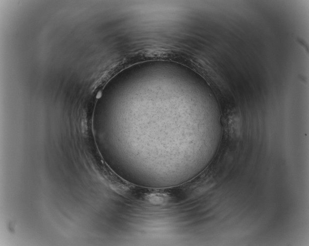 X0000102460508200808081230