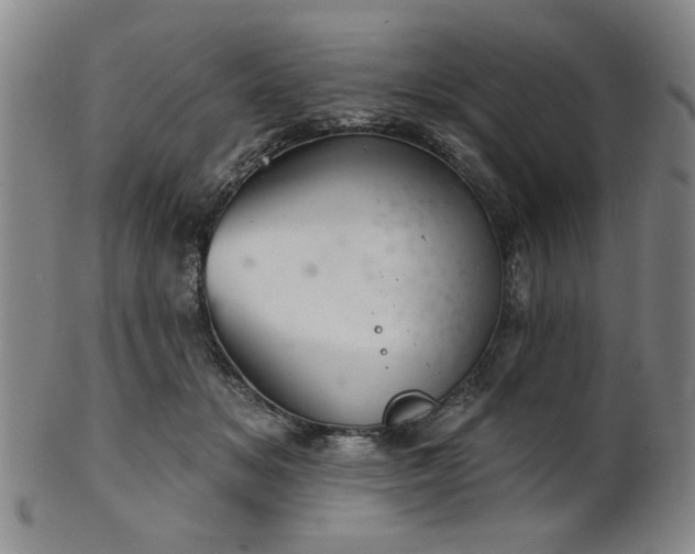 X0000102460509200808081230