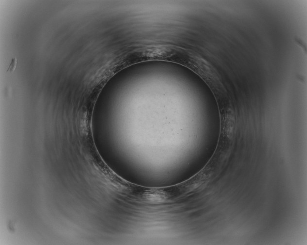 X0000102460510200808081230