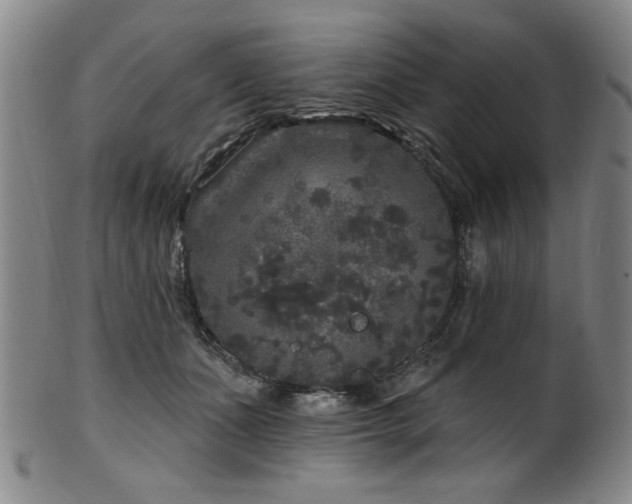 X0000102460511200808081230