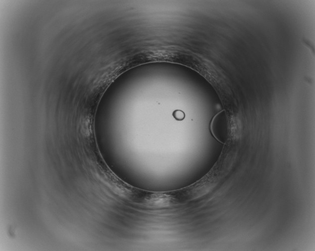 X0000102460514200808081230