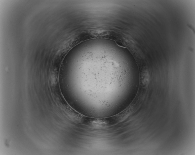 X0000102460515200808081230