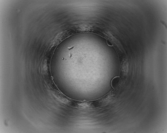 X0000102460516200808081230