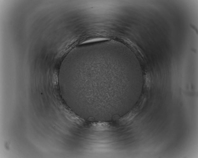 X0000102460517200808081230