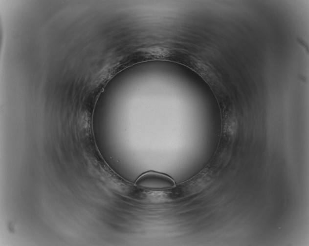 X0000102460518200808081230