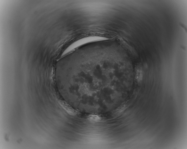 X0000102460519200808081230