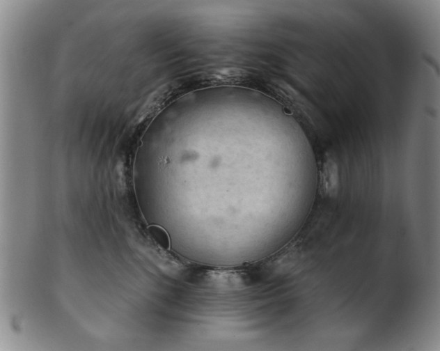 X0000102460520200808081230