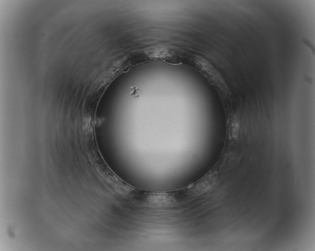 X0000102460521200808081230