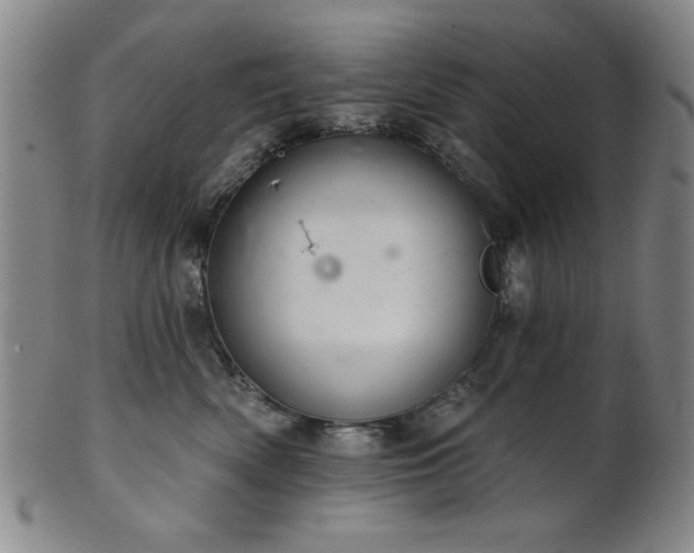 X0000102460522200808081230