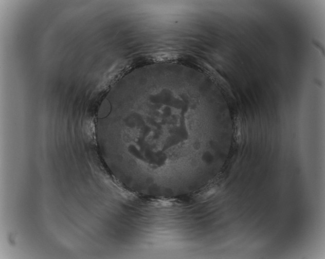 X0000102460523200808081230