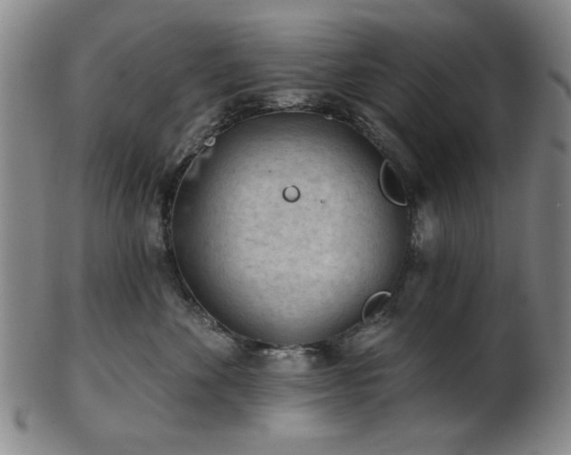 X0000102460524200808081230